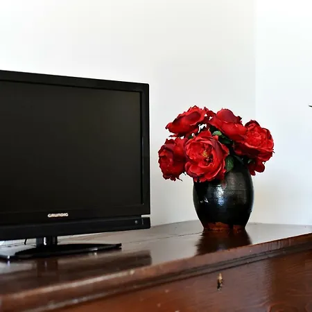 Hertz Apartment